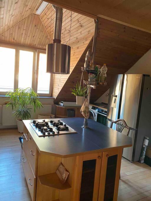 Rooftop 180M2 Loft With Private Sauna, Pressburg Exterior foto
