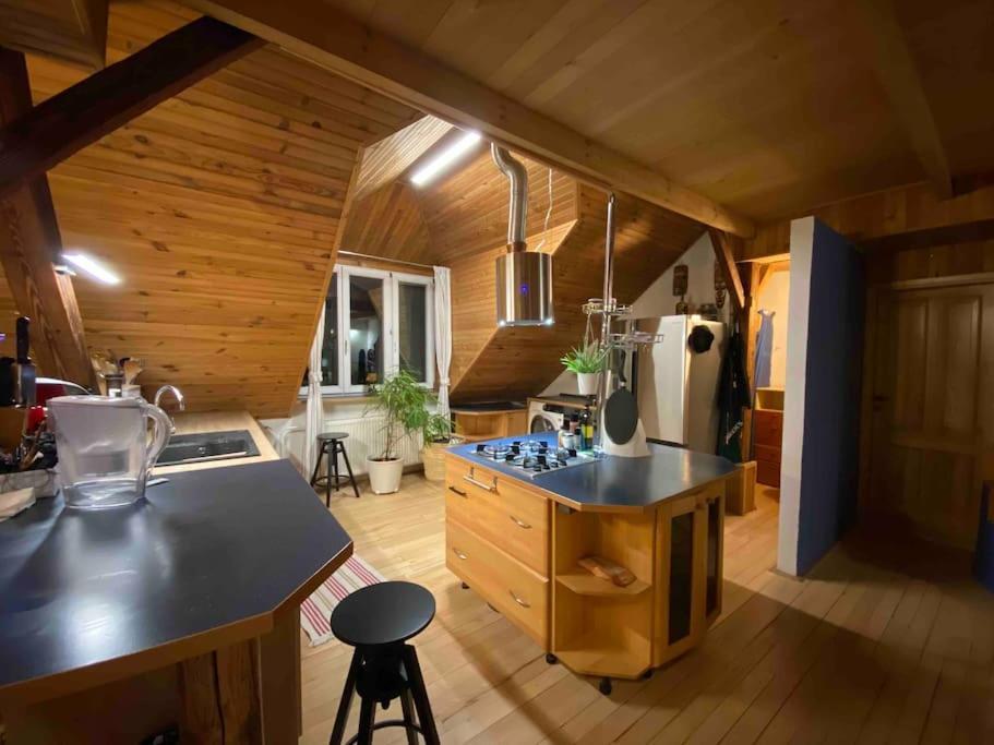Rooftop 180M2 Loft With Private Sauna, Pressburg Exterior foto