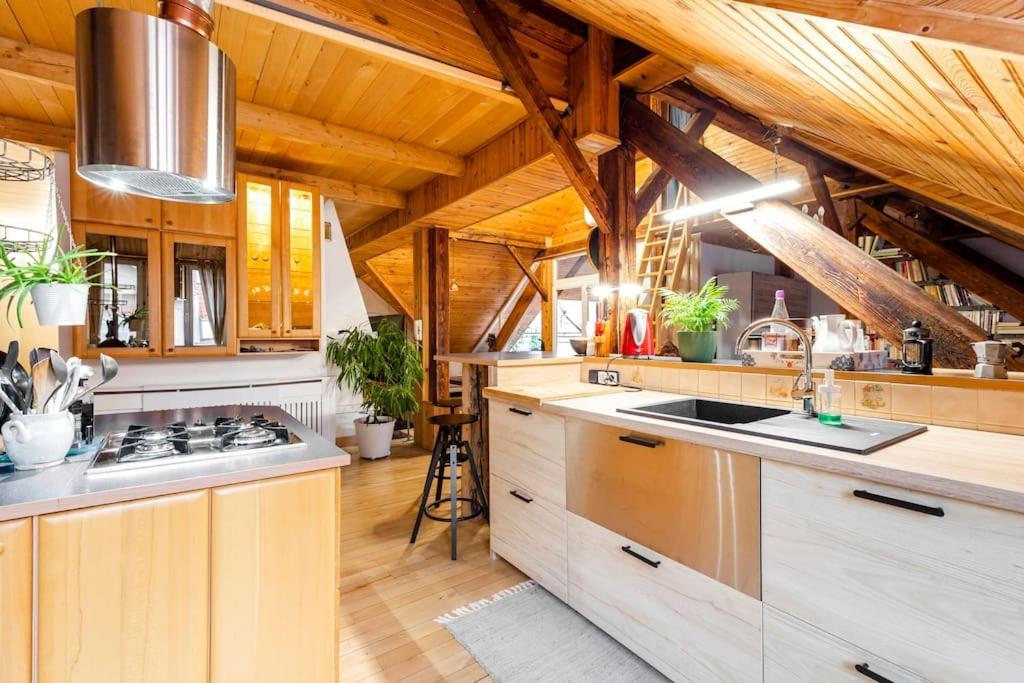 Rooftop 180M2 Loft With Private Sauna, Pressburg Exterior foto
